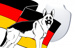 Kapitel 10